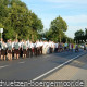 schuetzenverein-boergermoor-schuetzenfest-2010-dienstag-46